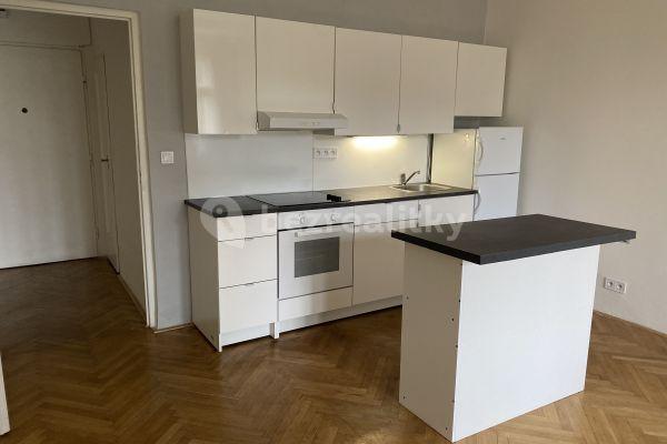 1 bedroom with open-plan kitchen flat to rent, 51 m², Na Slupi, Praha