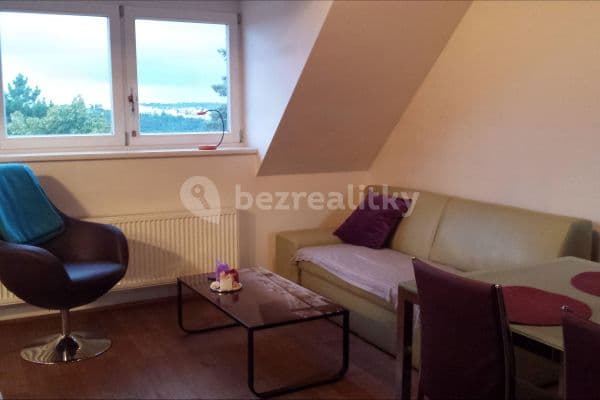 1 bedroom with open-plan kitchen flat to rent, 70 m², Na Vršku, Praha 1 bedroom with open-plan kitchen flat to rent, 70 m², Na Vršku, Praha