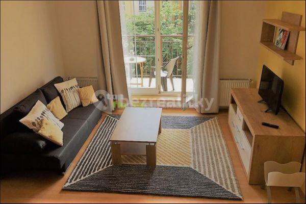 1 bedroom with open-plan kitchen flat to rent, 65 m², Přemyslovská, Praha 3