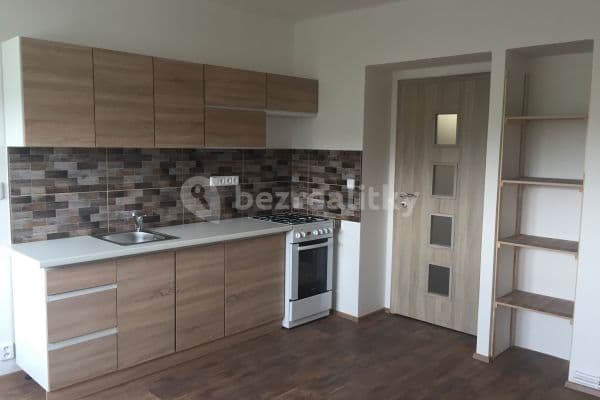 1 bedroom with open-plan kitchen flat to rent, 48 m², Na Mlejnku, Prague, Prague