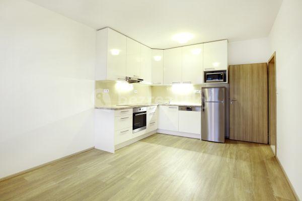 1 bedroom with open-plan kitchen flat to rent, 50 m², Praha
