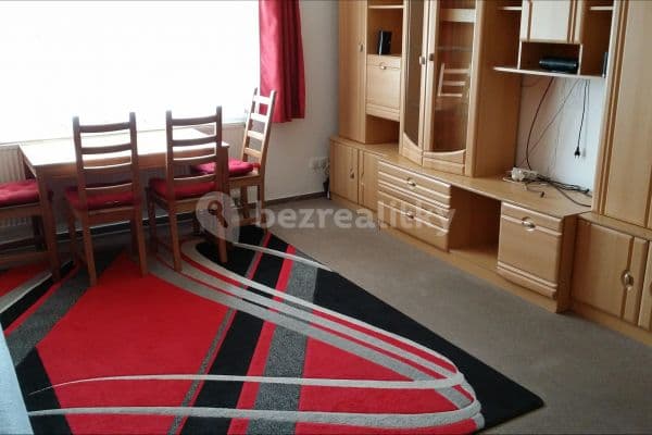 1 bedroom with open-plan kitchen flat to rent, 60 m², Boloňská, Praha 1 bedroom with open-plan kitchen flat to rent, 60 m², Boloňská, Praha