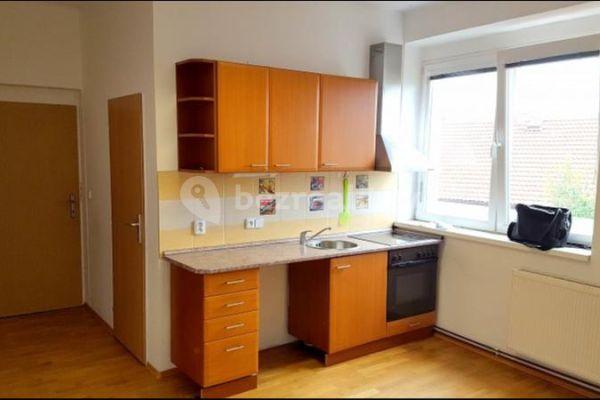 1 bedroom with open-plan kitchen flat to rent, 47 m², Doktora Steinera, Kladno