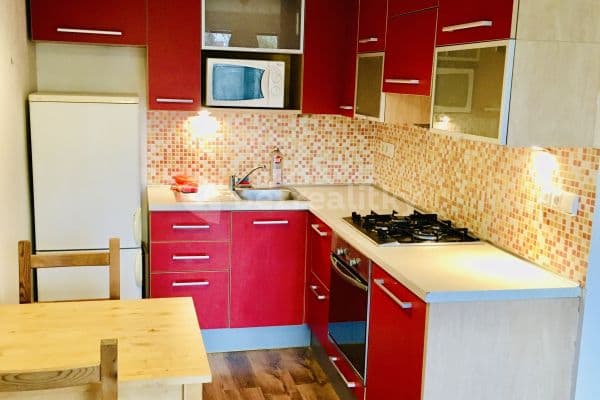 1 bedroom with open-plan kitchen flat to rent, 40 m², Novodvorská, 
