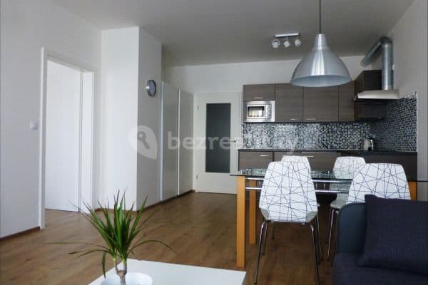 1 bedroom with open-plan kitchen flat to rent, 54 m², Modrého, Praha