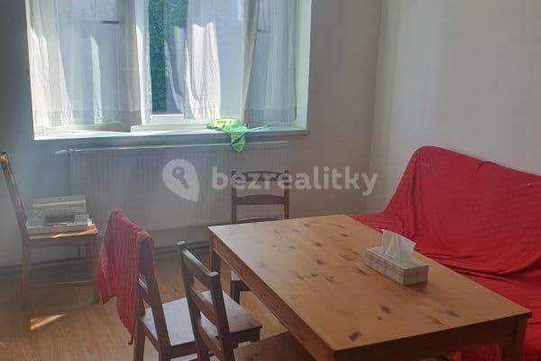 1 bedroom with open-plan kitchen flat to rent, 56 m², Vosmíkových, Prague, Prague