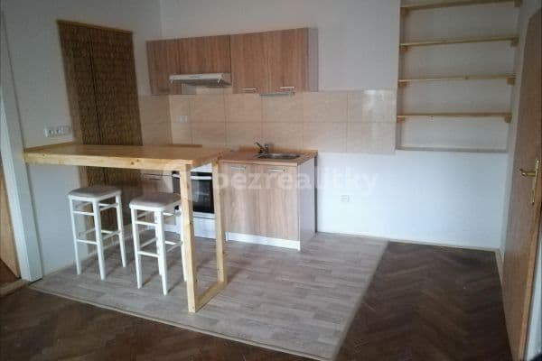 1 bedroom with open-plan kitchen flat to rent, 44 m², Žilinská, 
