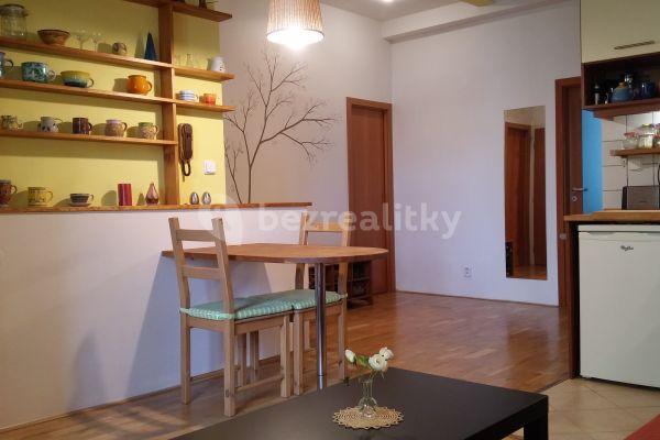 1 bedroom with open-plan kitchen flat to rent, 47 m², K Moravině, Praha