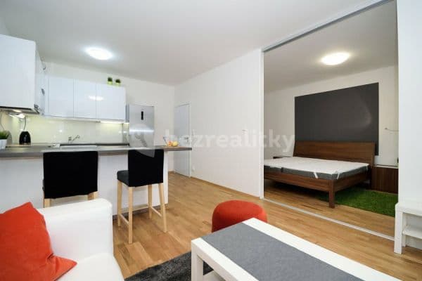 1 bedroom with open-plan kitchen flat to rent, 53 m², Makedonská, Praha 1 bedroom with open-plan kitchen flat to rent, 53 m², Makedonská, Praha