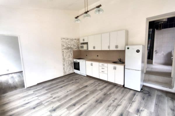 1 bedroom with open-plan kitchen flat to rent, 36 m², Pod Karlovarskou silnicí, Praha 1 bedroom with open-plan kitchen flat to rent, 36 m², Pod Karlovarskou silnicí, Praha