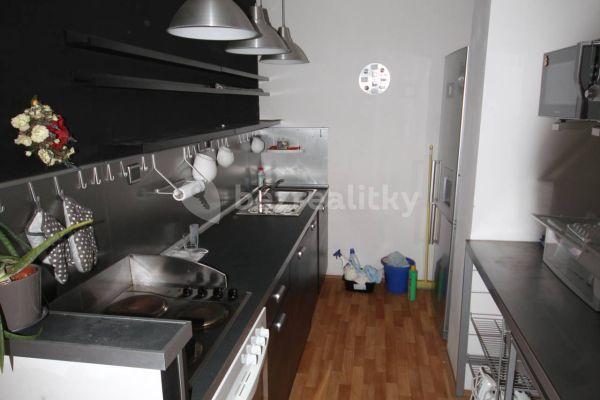 2 bedroom with open-plan kitchen flat to rent, 58 m², Řešovská, Praha