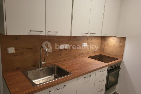 1 bedroom with open-plan kitchen flat to rent, 42 m², Tovární, 