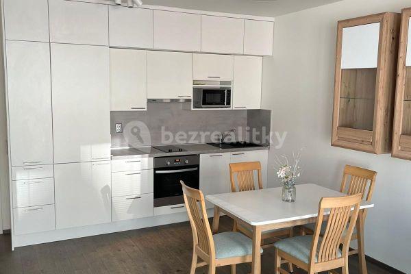 1 bedroom with open-plan kitchen flat to rent, 61 m², Altajská, Praha 10