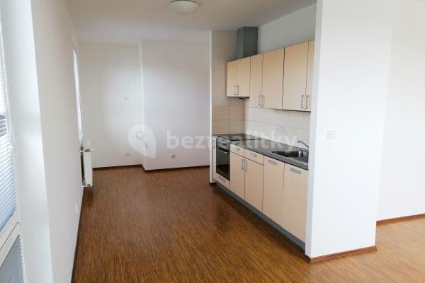Studio flat to rent, 41 m², Neklež, Studio flat to rent, 41 m², Neklež,