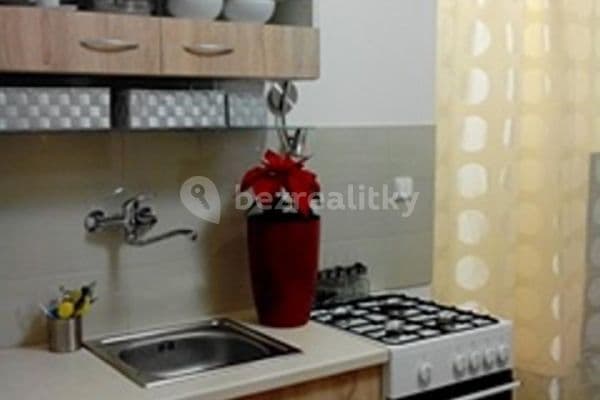 1 bedroom with open-plan kitchen flat to rent, 36 m², Sportovní, 
