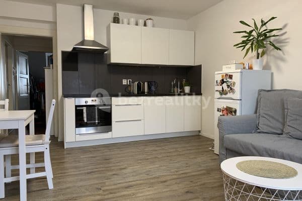 1 bedroom with open-plan kitchen flat to rent, 49 m², Michelská, Praha