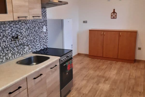 1 bedroom with open-plan kitchen flat to rent, 55 m², Jeronýmova, Písek 1 bedroom with open-plan kitchen flat to rent, 55 m², Jeronýmova, Písek
