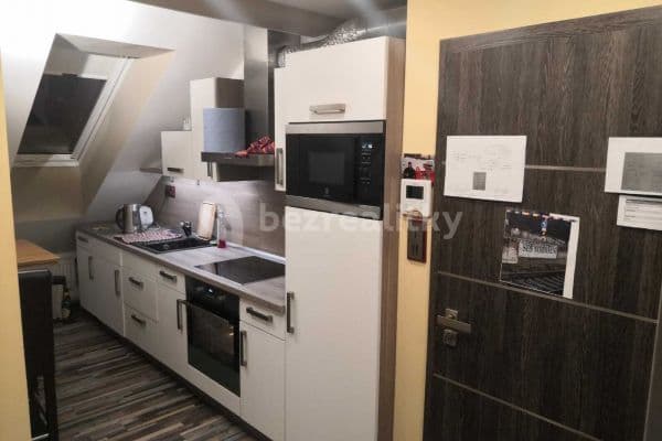 1 bedroom with open-plan kitchen flat to rent, 40 m², V Zámku, Pozořice 1 bedroom with open-plan kitchen flat to rent, 40 m², V Zámku, Pozořice