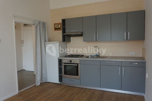 1 bedroom with open-plan kitchen flat to rent, 38 m², Prague, Prague