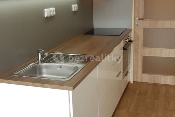 1 bedroom with open-plan kitchen flat to rent, 38 m², Rousínov, Jihomoravský Region
