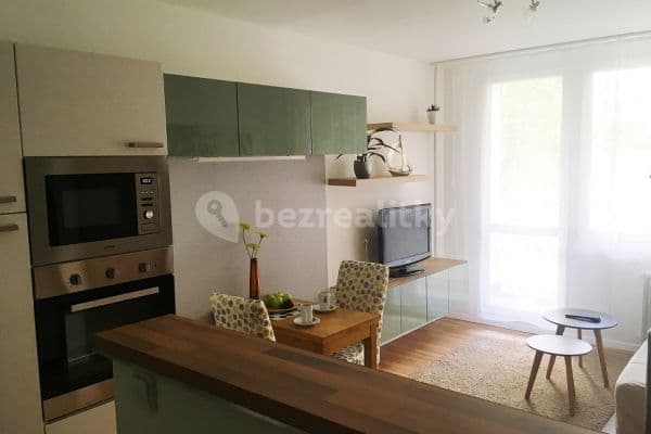 1 bedroom with open-plan kitchen flat to rent, 41 m², Hurbanova, Praha 1 bedroom with open-plan kitchen flat to rent, 41 m², Hurbanova, Praha