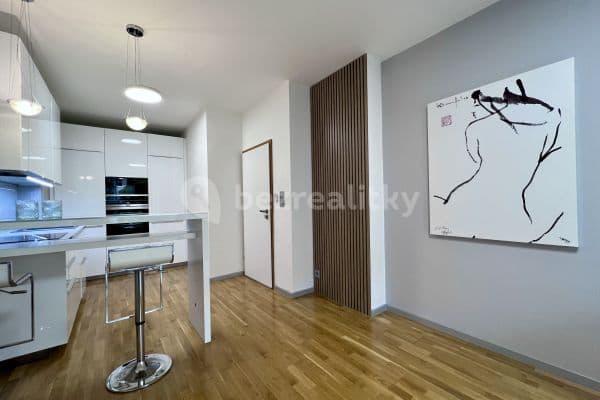 1 bedroom with open-plan kitchen flat to rent, 55 m², Voskovcova, Praha 1 bedroom with open-plan kitchen flat to rent, 55 m², Voskovcova, Praha