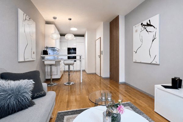 1 bedroom with open-plan kitchen flat to rent, 55 m², Voskovcova, Praha 1 bedroom with open-plan kitchen flat to rent, 55 m², Voskovcova, Praha