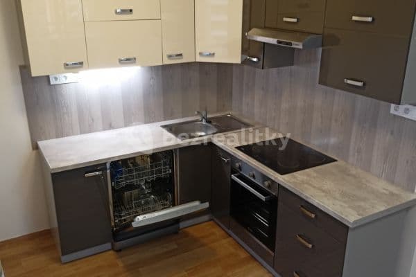 1 bedroom with open-plan kitchen flat to rent, 62 m², Hlučkova, Praha 1 bedroom with open-plan kitchen flat to rent, 62 m², Hlučkova, Praha