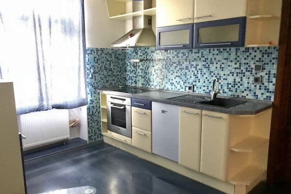 1 bedroom with open-plan kitchen flat to rent, 55 m², Riegrova, České Budějovice 1 bedroom with open-plan kitchen flat to rent, 55 m², Riegrova, České Budějovice