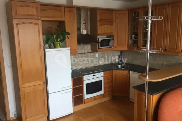 1 bedroom with open-plan kitchen flat to rent, 69 m², Prague, Prague