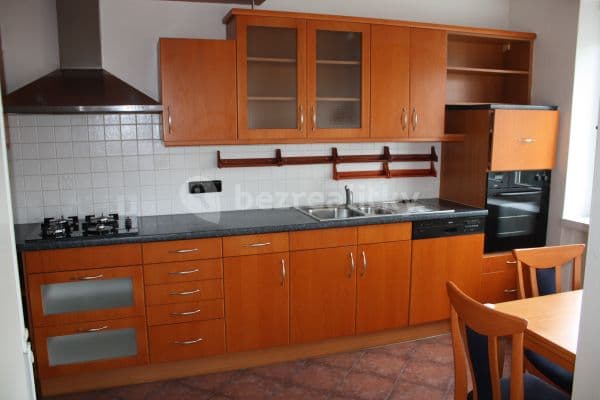 1 bedroom with open-plan kitchen flat to rent, 53 m², Na Dlouhém lánu, 