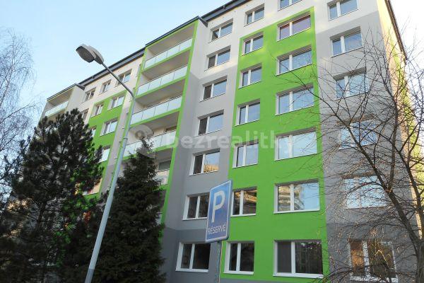 1 bedroom with open-plan kitchen flat to rent, 40 m², Alfonse Muchy, Litoměřice