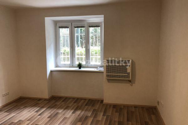 1 bedroom with open-plan kitchen flat to rent, 43 m², Rybníček, Brno, Jihomoravský Region