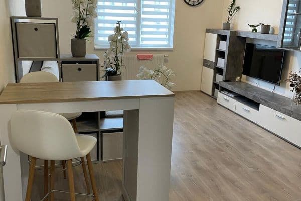 Studio flat to rent, 28 m², Technická, Plzeň, Plzeňský Region Studio flat to rent, 28 m², Technická, Plzeň, Plzeňský Region