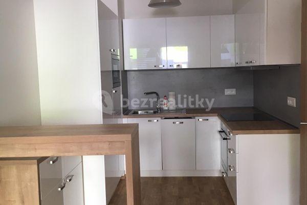 2 bedroom with open-plan kitchen flat to rent, 66 m², U Hranic, Praha