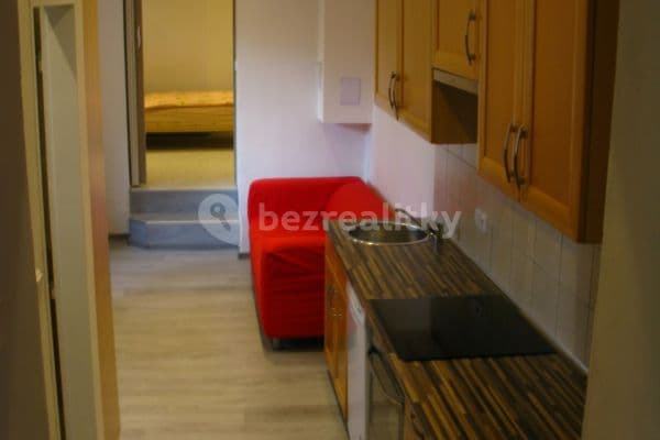 1 bedroom with open-plan kitchen flat to rent, 32 m², Na Truhlářce, Hlavní město Praha