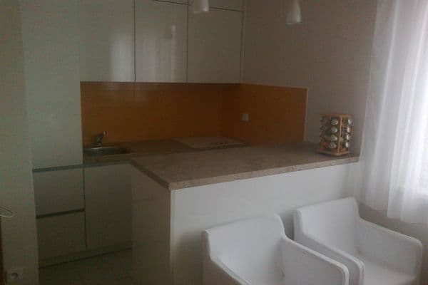 1 bedroom with open-plan kitchen flat for sale, 47 m², Spojařů, Praha 1 bedroom with open-plan kitchen flat for sale, 47 m², Spojařů, Praha