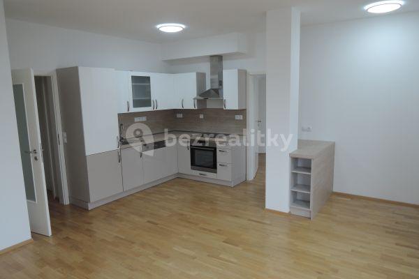 1 bedroom with open-plan kitchen flat to rent, 56 m², Devonská, Praha