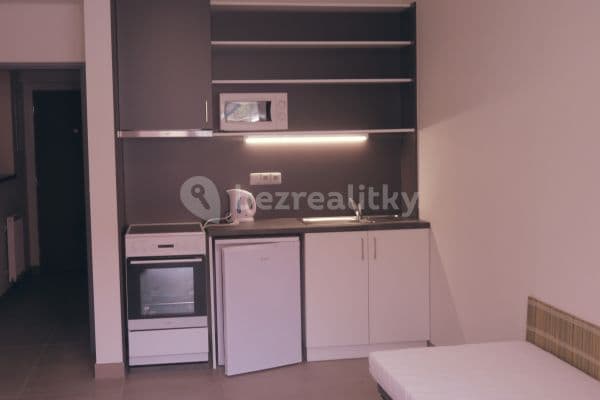 Small studio flat to rent, 24 m², Družstevní, Kněževes