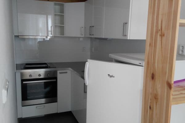 1 bedroom with open-plan kitchen flat to rent, 64 m², Řehořova, 1 bedroom with open-plan kitchen flat to rent, 64 m², Řehořova,