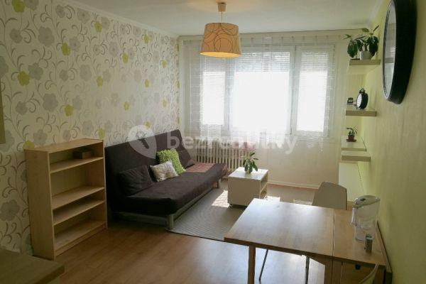 1 bedroom with open-plan kitchen flat to rent, 41 m², Vyžlovská, Hlavní město Praha