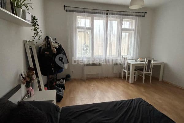 Small studio flat to rent, 27 m², Brtnická, Praha