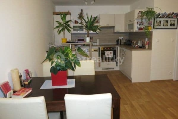 1 bedroom with open-plan kitchen flat to rent, 48 m², Tkalcovská, Brno, Jihomoravský Region