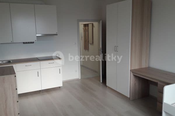 Studio flat to rent, 28 m², Plzeň, Plzeňský Region Studio flat to rent, 28 m², Plzeň, Plzeňský Region