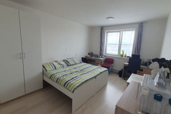 Studio flat to rent, 28 m², Technická, Plzeň, Plzeňský Region Studio flat to rent, 28 m², Technická, Plzeň, Plzeňský Region