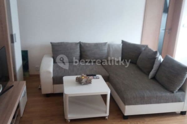 1 bedroom with open-plan kitchen flat to rent, 62 m², Plzeň, Plzeňský Region