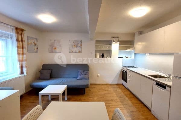 1 bedroom with open-plan kitchen flat to rent, 56 m², Soběslavská, Prague, Prague