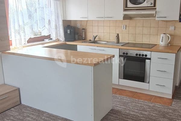 1 bedroom with open-plan kitchen flat to rent, 45 m², K Letišti, Karlovy Vary 1 bedroom with open-plan kitchen flat to rent, 45 m², K Letišti, Karlovy Vary