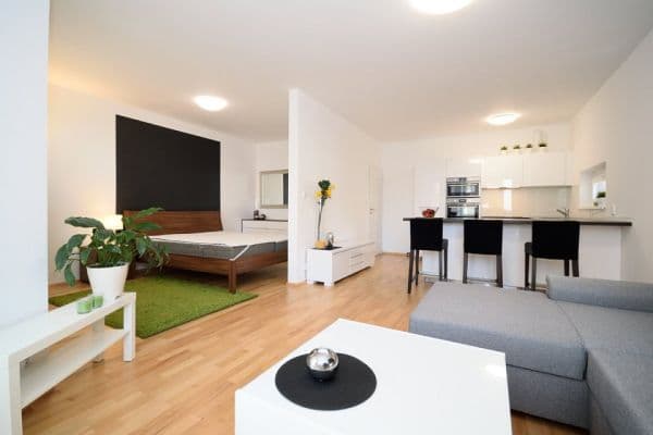 1 bedroom with open-plan kitchen flat to rent, 55 m², Makedonská, Hlavní město Praha 1 bedroom with open-plan kitchen flat to rent, 55 m², Makedonská, Hlavní město Praha
