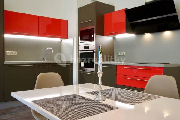 1 bedroom with open-plan kitchen flat to rent, 70 m², Prague, Prague